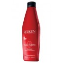 Redken Shampoo pour cheveux colorés 250 ml